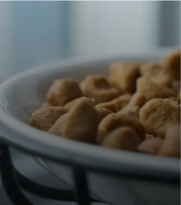 Food & Storage Rooms